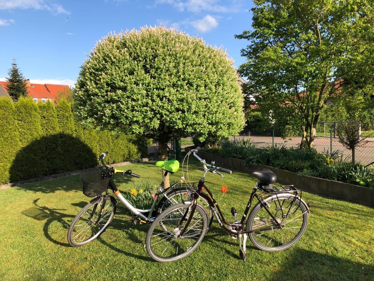 Ferienwohnung Hameln Direkt Am Weserradweg ハーメルン エクステリア 写真