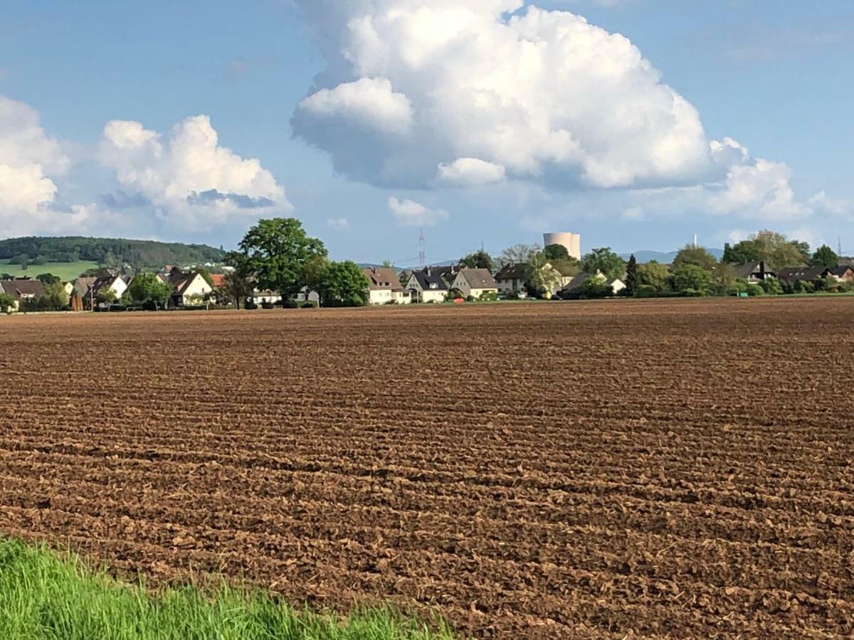 Ferienwohnung Hameln Direkt Am Weserradweg ハーメルン エクステリア 写真